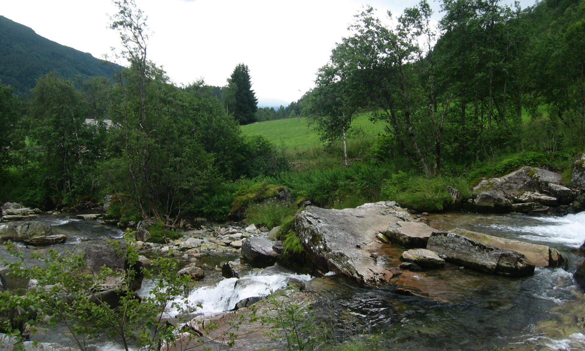 Hamarosan ... Coming soon